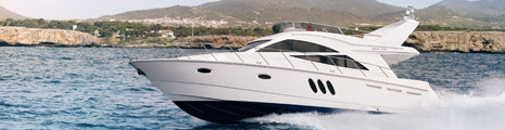 T50 header image